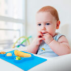 Plato en Forma de Conejo con 4 Divisiones Azul para Niño