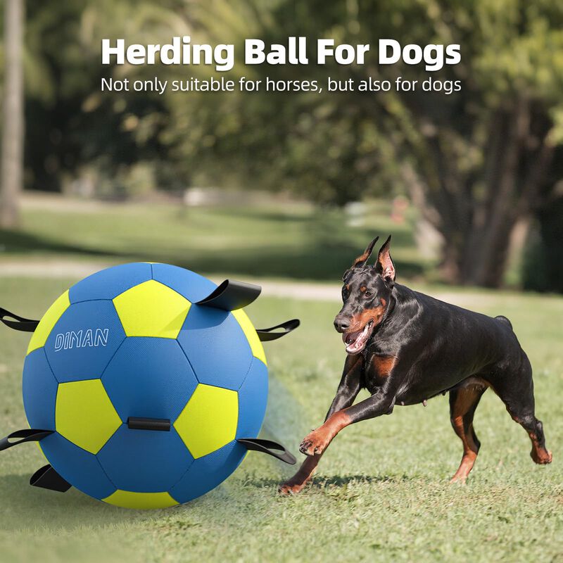 Pelota Para Perro Diman 64 cm Con Correas Para ... image number null
