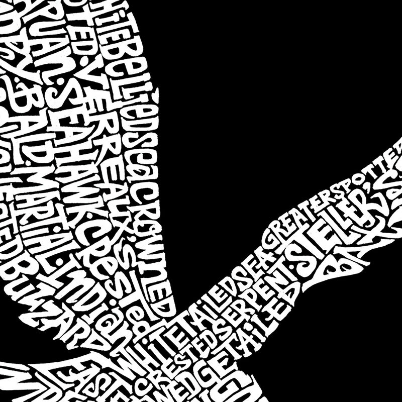 Sudadera Con Capucha Word Art Para Ni&ntilde;a - &Aacute;guil... image number null