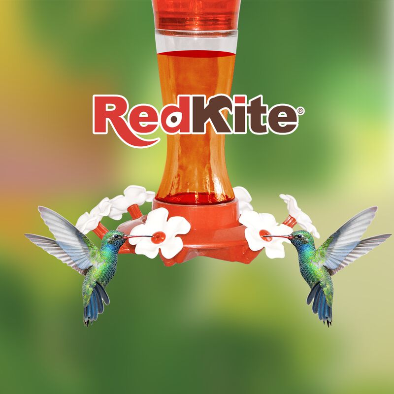 Redkite Bebedero De Vidrio Colgante Para Colibr... image number null
