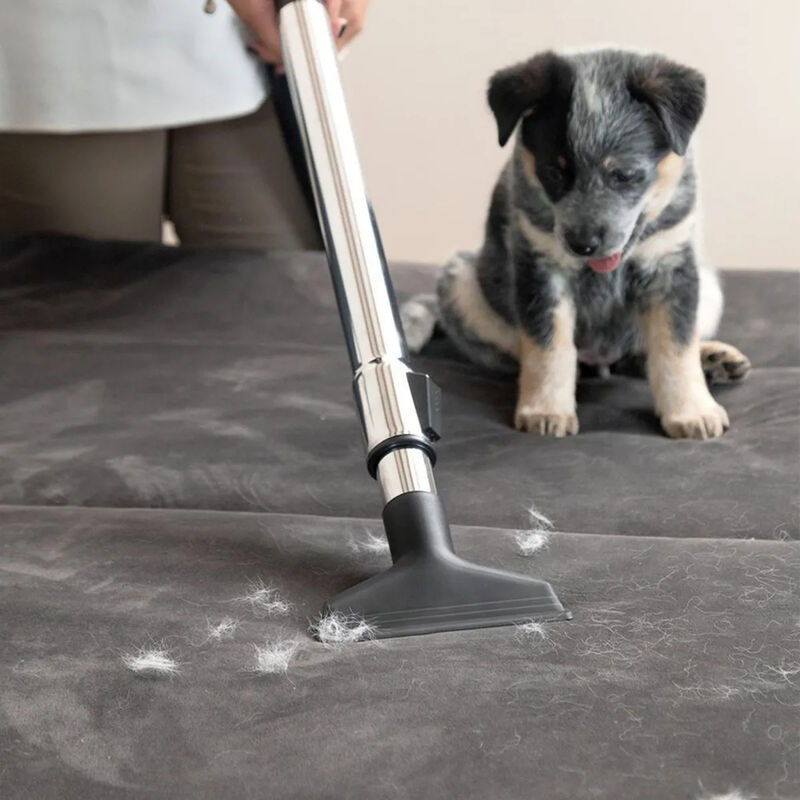 Aspiradora S&oacute;lidos Karcher Vcl 3 Cyclonic 1000w... image number null