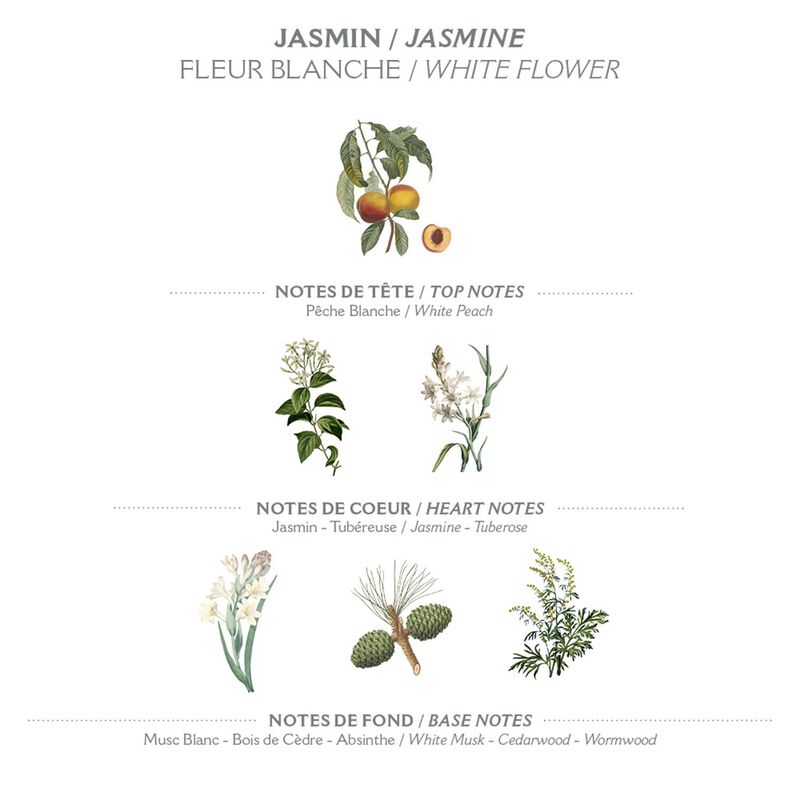 Perfume Panier Des Sens Jasmine Eau De Toilette... image number null