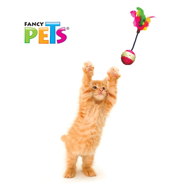 Fancy Pets Juguetes Para Gato Pack Con 48 Pieza... image number null