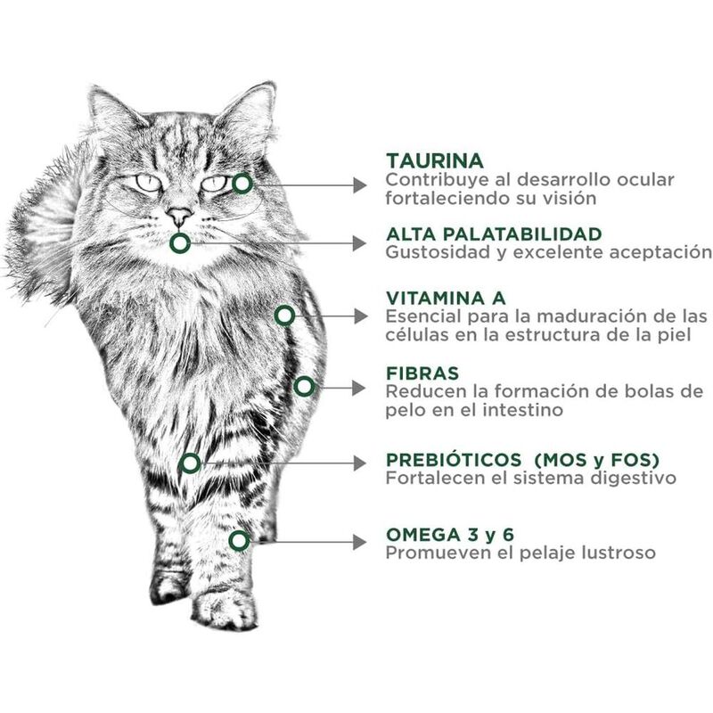 Nupec Felino Hairball 3kg mas Pelota Spiny Cauc... image number null