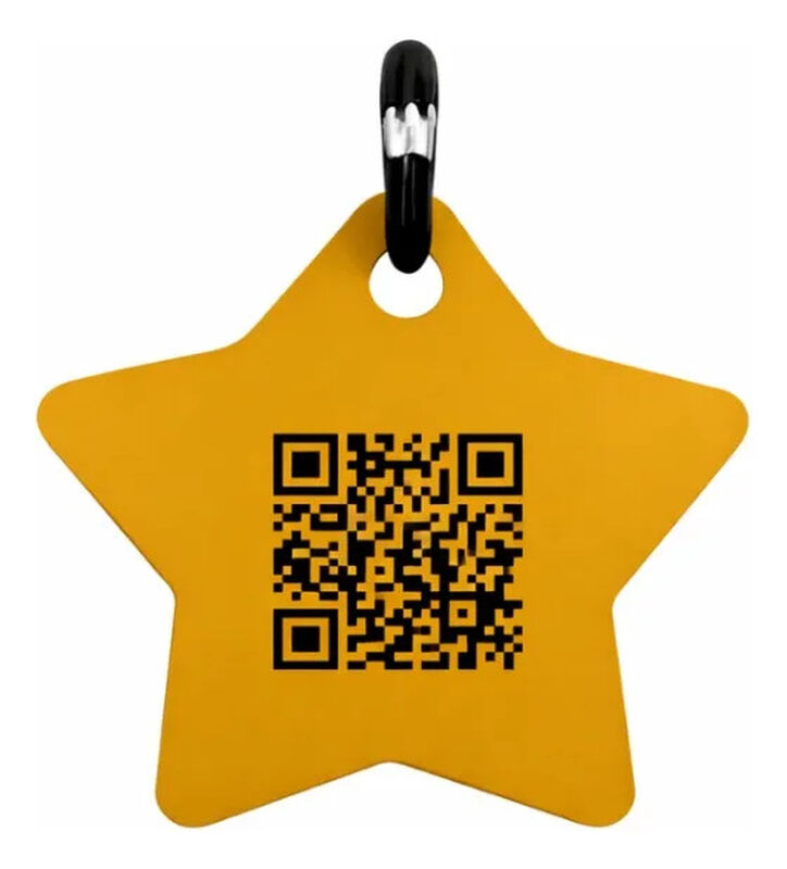 Placa Mascota Qriosa Estrella Amarillo image number null