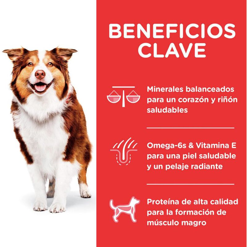 Hill's Canino Adult 7 12 Kg 1 Unid X Caja image number null