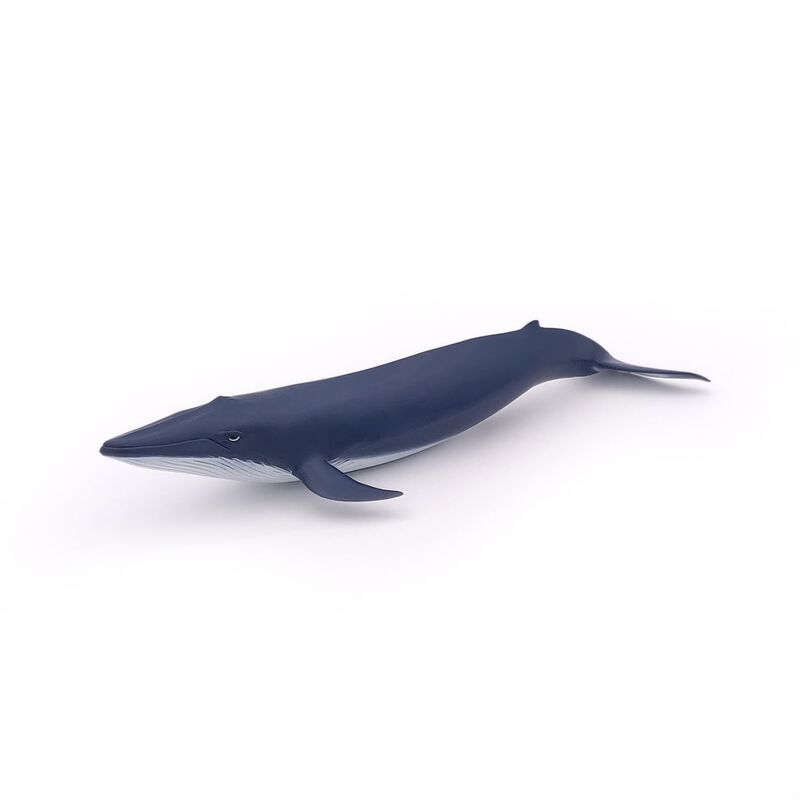 Figura Papo Marine Life Blue Whale Calf 56041 P... image number null