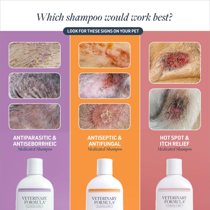 Champ&uacute; Veterinary Formula Clinical Care 480 Ml ... image number null