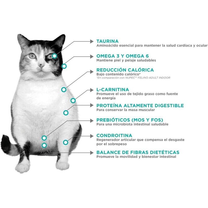 Nupec Felino Weight Care 3kg mas Pelota Spiny C... image number null