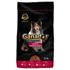 Alimento Perro Ganador Premium 21 Kg Adulto Mednas Y Grandes