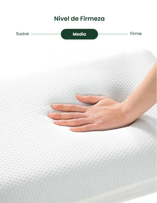 Zinus |  Almohada Memory Foam Frescura Y Firmez... image number null