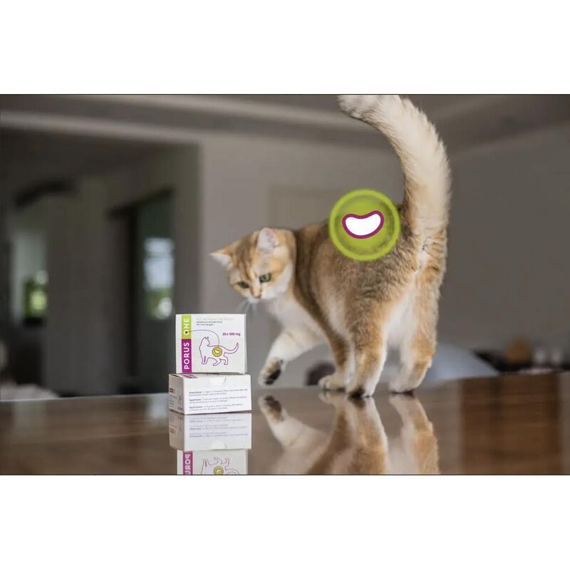 Porus one Caja con 30 sobres Linea RenalesLabor... image number null