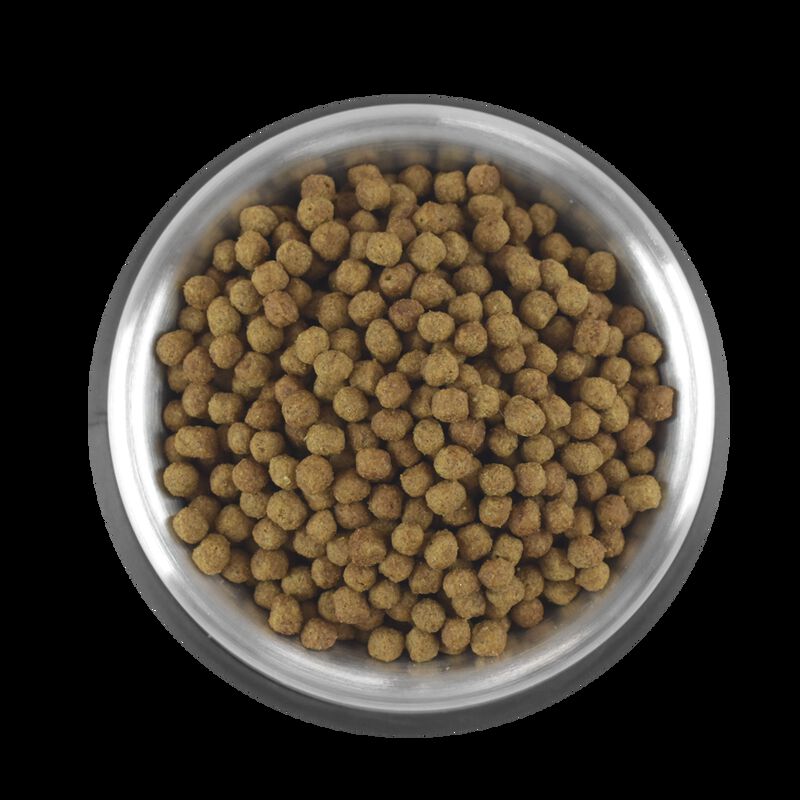 Perfect Sense Senior Para Perros Mayores A 7 A&ntilde;... image number null