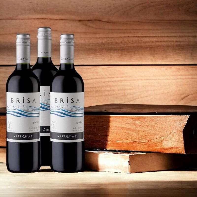 Vino Tinto Vi&ntilde;a Vistamar Brisa Merlot 750ml image number null