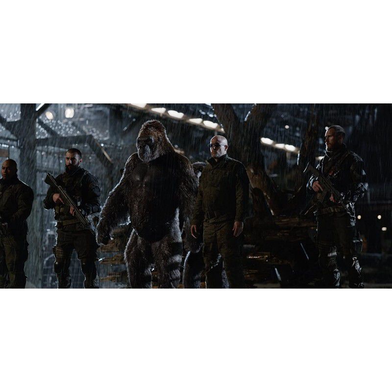La Guerra Del Planeta De Los Simios Blu-Ray Uhd... image number null