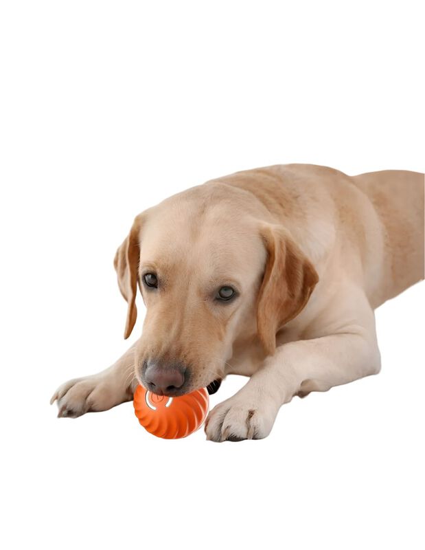 Pelota Interactiva Para Perros Elego image number null