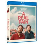 A Real Pain [Blu-ray] (2004)