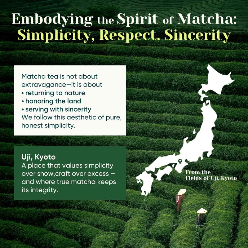 Polvo De Matcha Venture Pal Superior Grado Cere... image number null