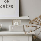 Toallitas Funkybox Arena - Luna