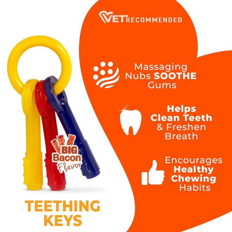 Nylabone Juguete De Masticar Para Cachorros Con... image number null