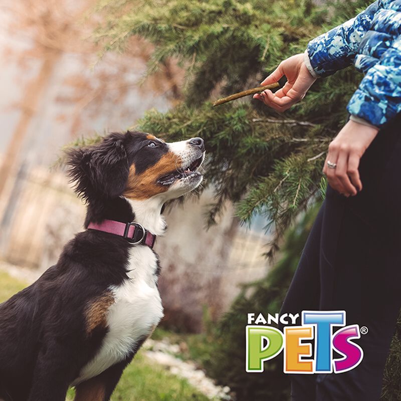 Fancy Pets Palitos De Carnaza Natural - 40 Pz image number null