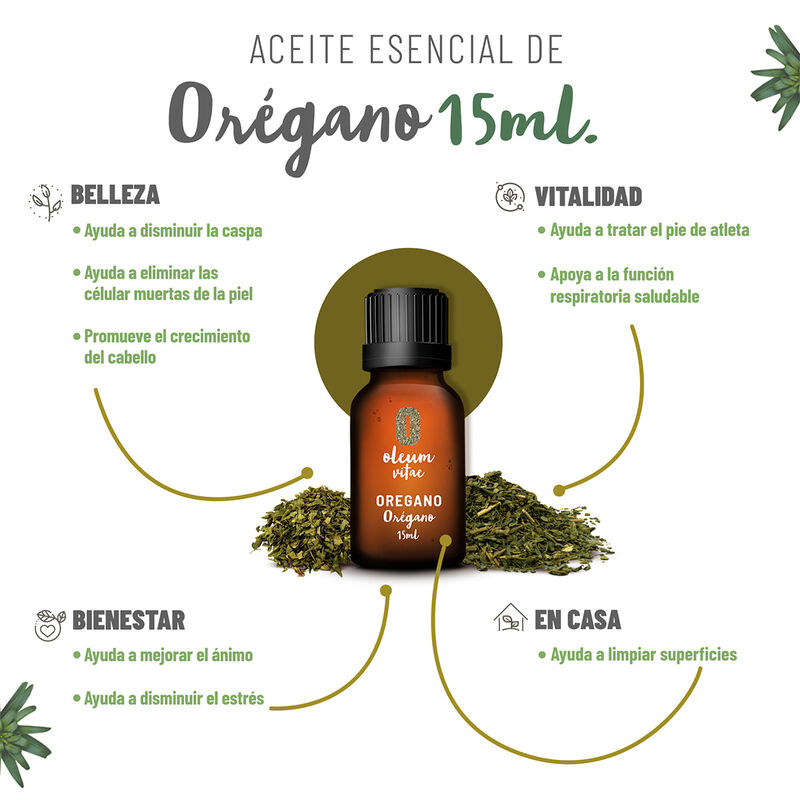 Aceite Esencial Puro Oregano 15 ml 100% Puro y ... image number null
