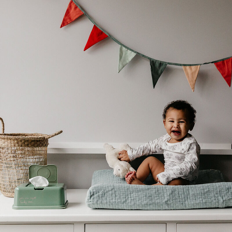 Toallitas Funkybox Menta - Hojas image number null