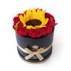 Caja Hermoso Esplendor