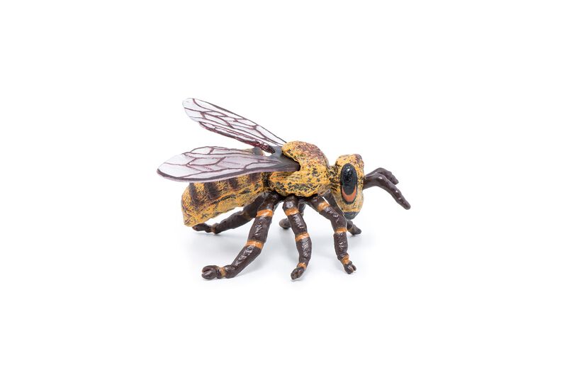 Figura De Papo Wild Animal Kingdom Bee 50256, C... image number null