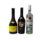 Brandi Torres + Licor Bailey's + Ron Bacardi Blanco