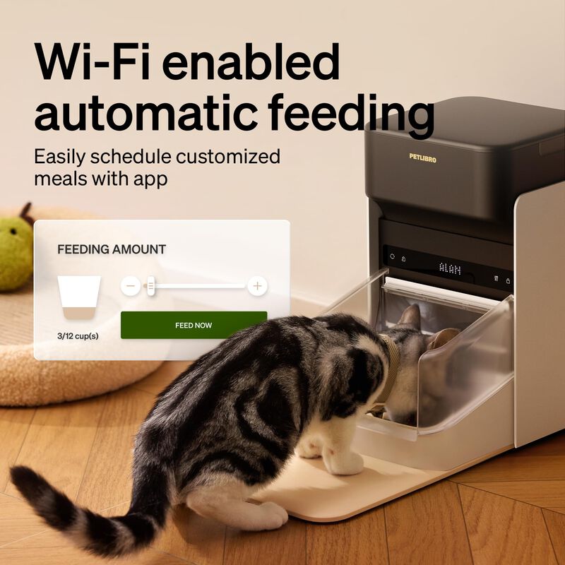 Comedero Autom&aacute;tico Para Gatos Petlibro Mejorad... image number null