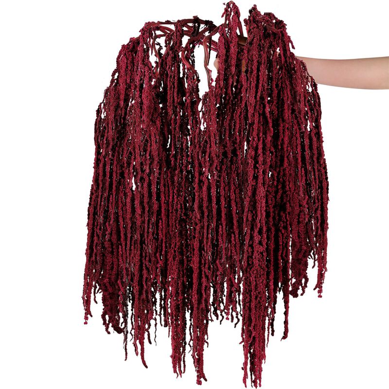 Planta Seca Suncalla 60 cm Amaranto Rojo &ndash; 12 P... image number null