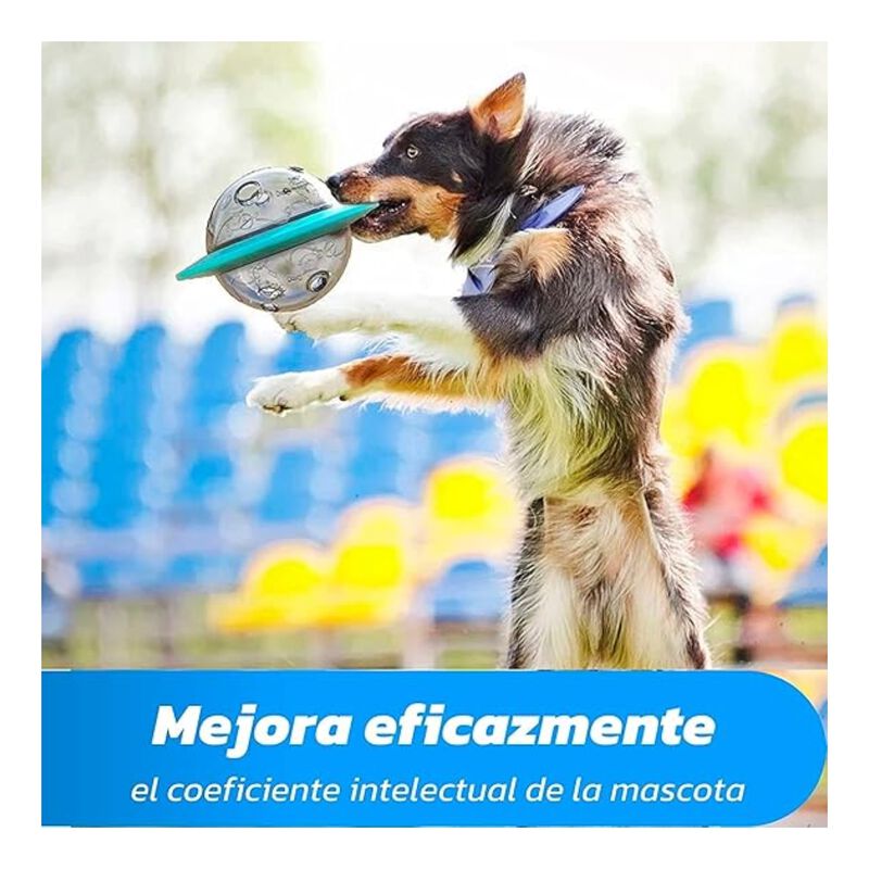 Plato para Perro de Alimentaci&oacute;n Lenta Blueland... image number null