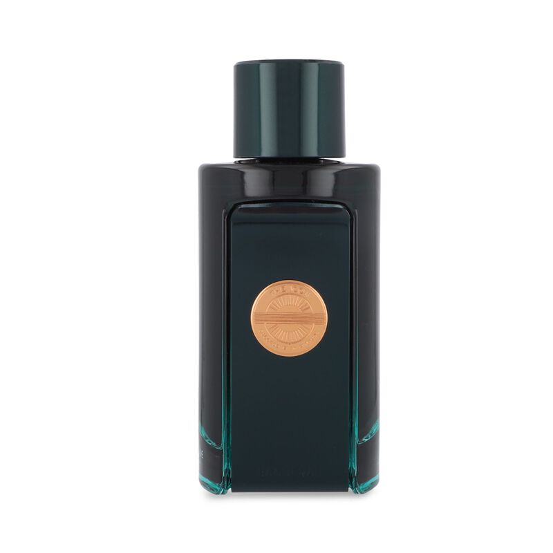 The Icon Attitude 100Ml Edp Spray image number null