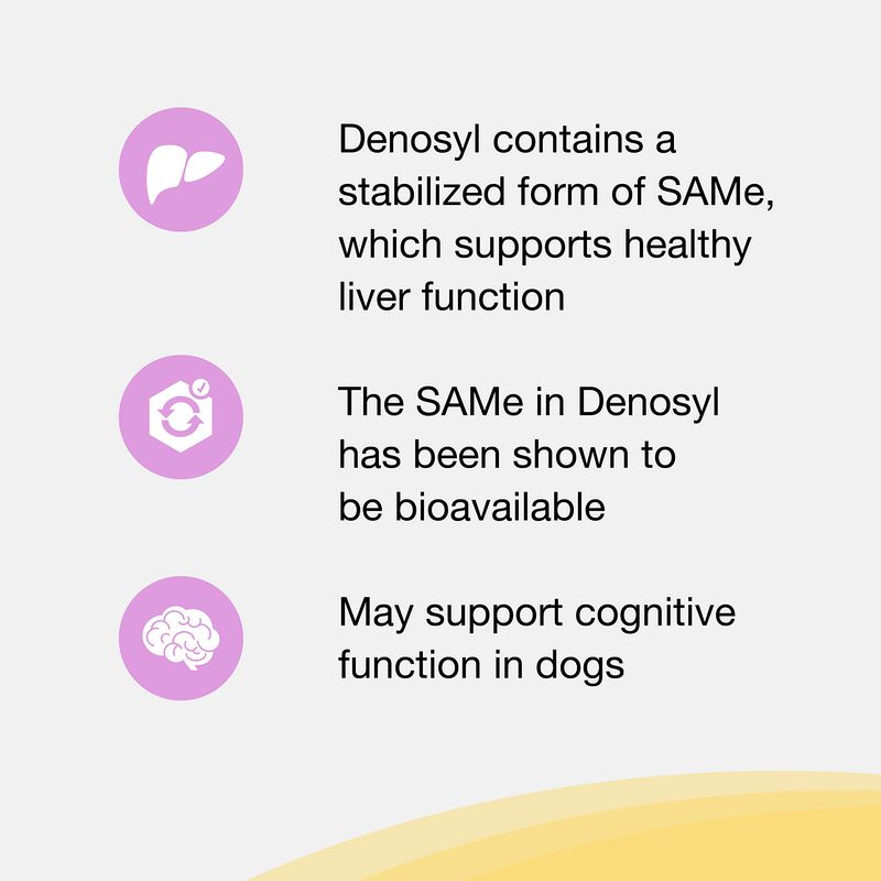 Suplemento Nutramax Denosyl Para La Salud Del H... image number null