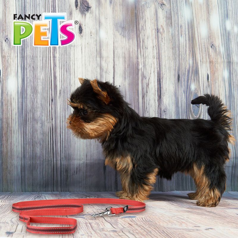 Fancy Pets Correa para Perro con Ultra Grip y B... image number null