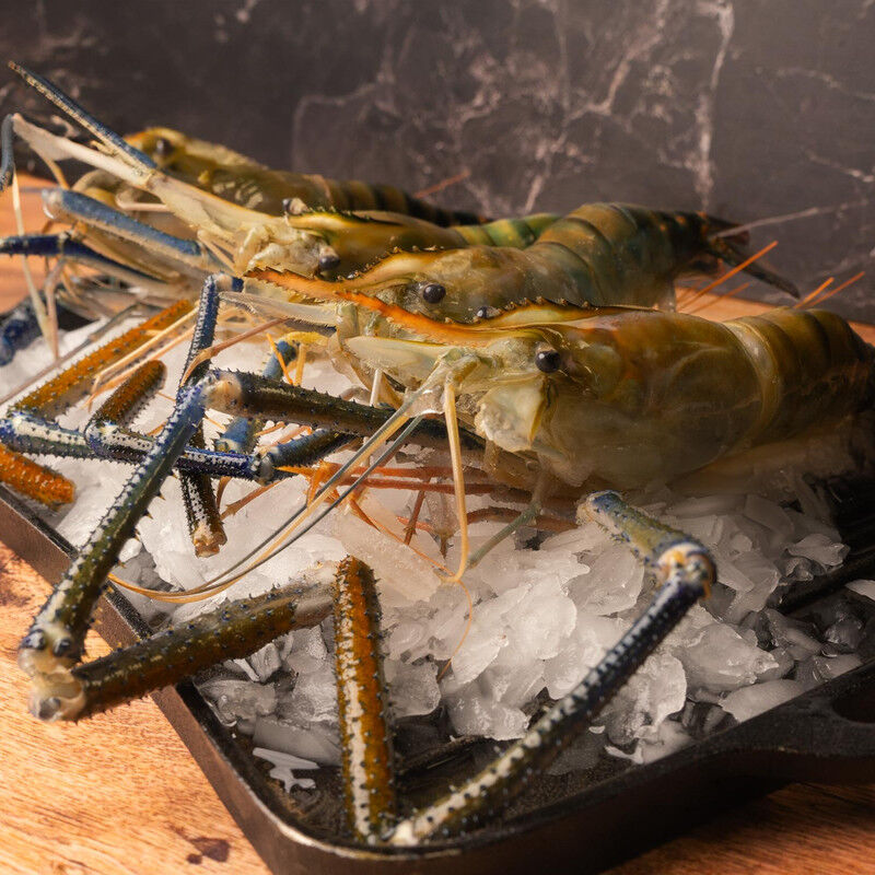 LANGOSTINO JUMBO CON CABEZA image number null