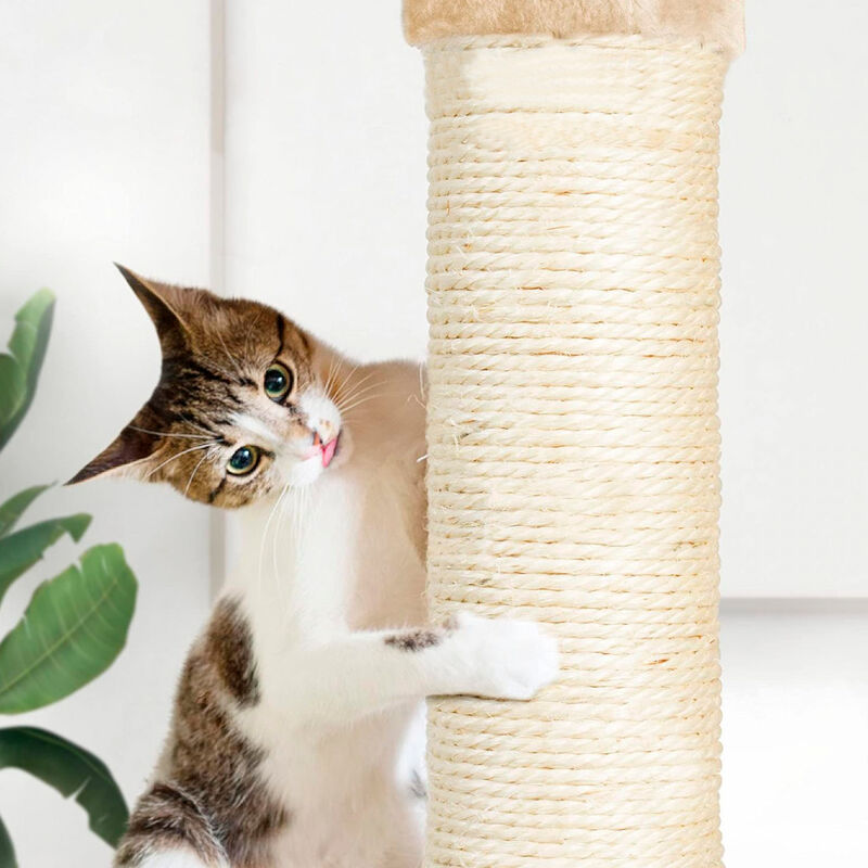 Torre para Gatos de 1.4 m Rascador Bluelander image number null