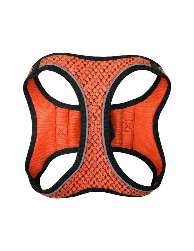 Fancy Pets Set Con Arnés Y Correa Sportie Para ... image number null