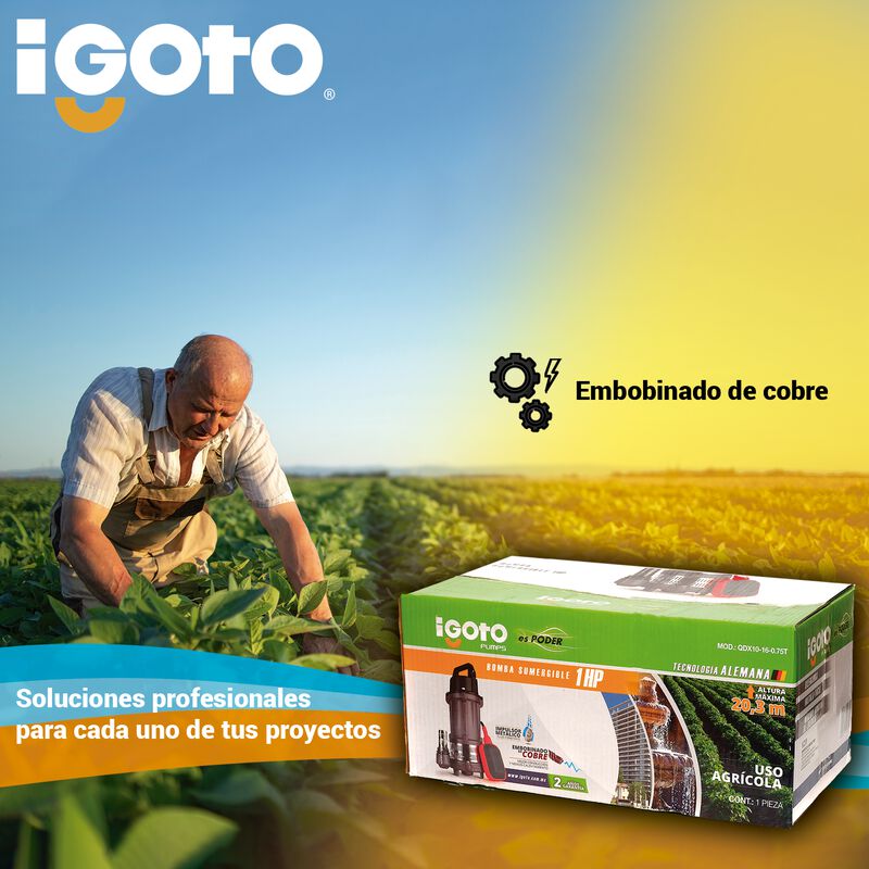 Igoto, Qdx10-16-0.75t,bomba Sumergible Agua 1 H... image number null