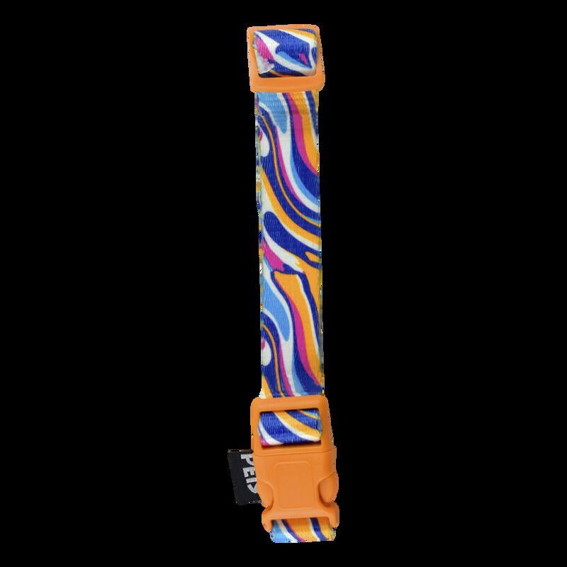 Fancy Pets Collar Galer&iacute;a Color Mix Tama&ntilde;o Extr... image number null