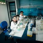 Entrada Adulto Monterrey