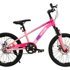 Bicicleta Infantil Ni&ntilde;os Rodada 20 Cuadro Acero Frenos Disco Rosa Little Monkey