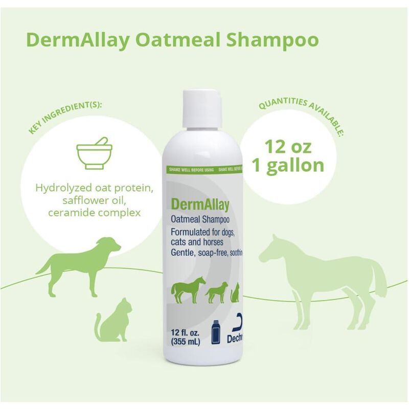 Dermallay shampoo 355 ml Linea DermatologiaLabo... image number null