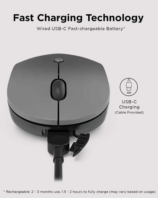 Rat&oacute;n Inal&aacute;mbrico Lenovo Go Usb-c Essential Gy5... image number null