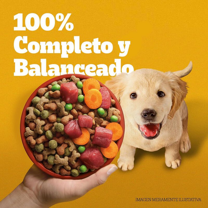 Pedigree Cachorro 20 Kg M&aacute;s 2 Gratis 22kg image number null
