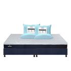 Colch&oacute;n King Size Therapy + Box + 2 Almohadas Trinity