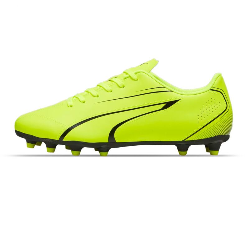 Zapatos de F&uacute;tbol Puma Vitoria FG/AG 107483 04 image number null
