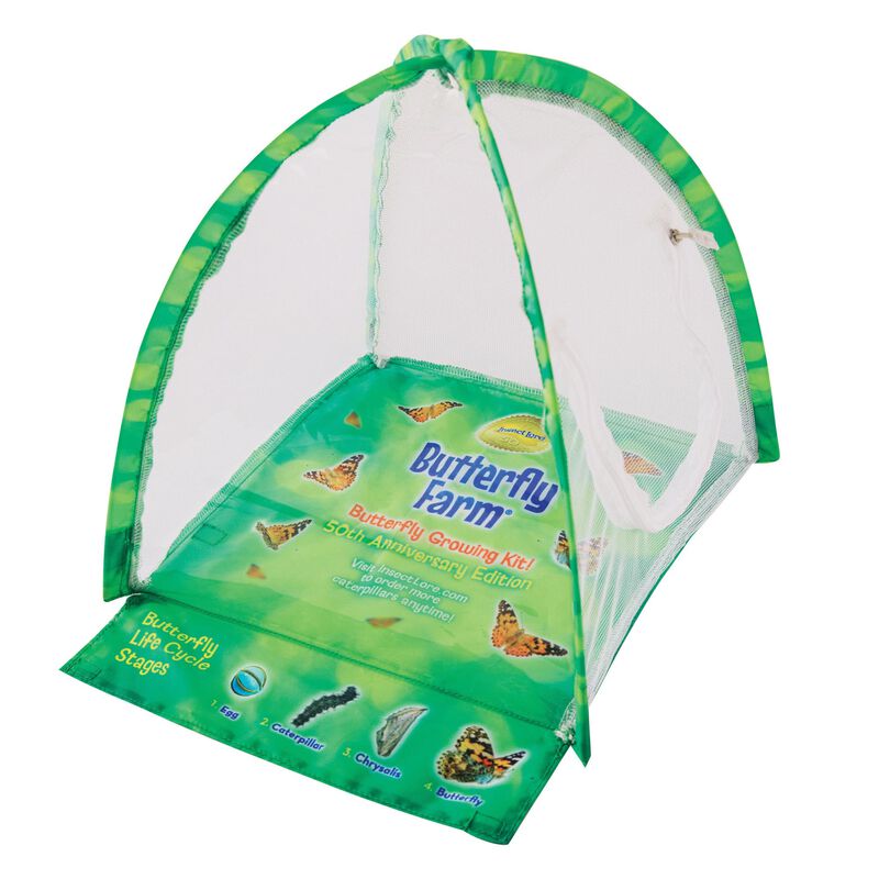 Kit De Mariposas Butterfly Farm Insect Lore Con... image number null
