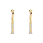 Arracadas De Oro Amarillo Y Blanco 10K (12 Mm Aprox)